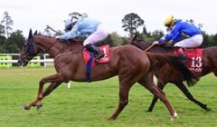 American Grand National 2025 Preview – Irish Trio Tackle Defending Champ Snap Decision featured image