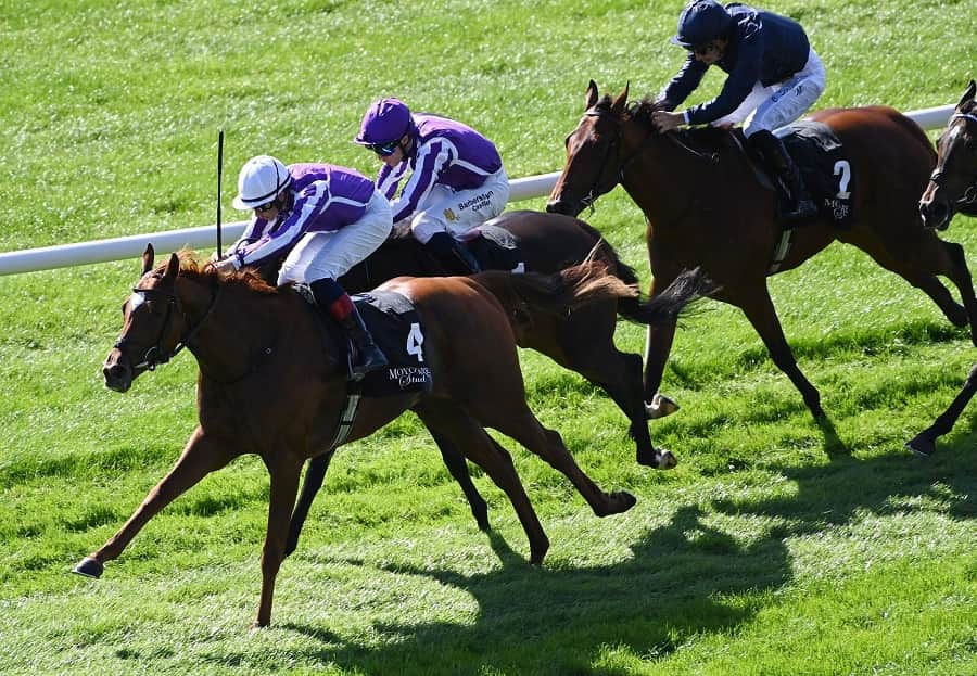 Future Champions Festival 2025 Newmarket races day 1 preview includes Precise