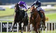 Future Champions Festival 2025 Newmarket Races Day 2 Preview – Cesarewitch & Dewhurst Stakes Centre Stage featured image