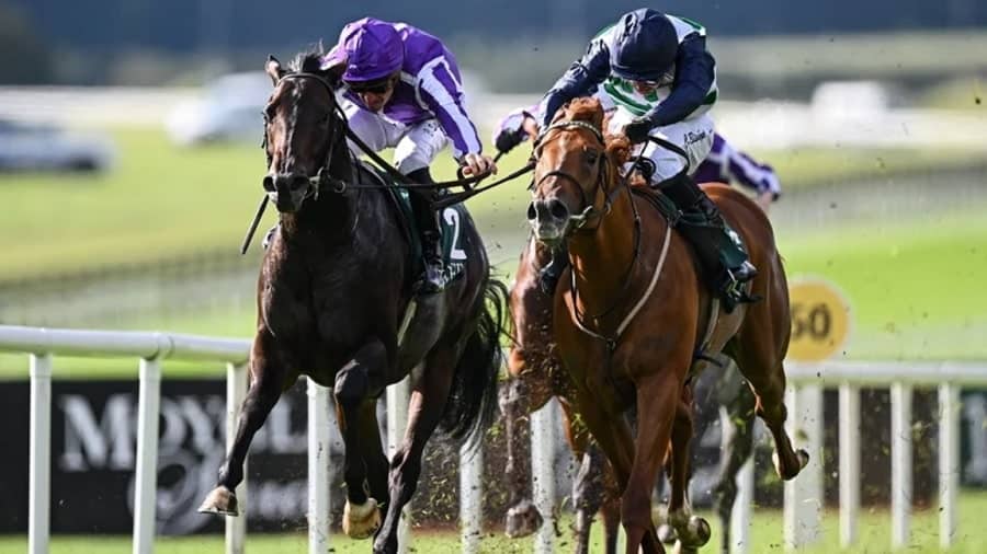 Future Champions Festival 2025 Newmarket races day 2 preview includes Zavateri & Gstaad