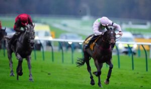Haydock races preview for 22 November features the Betfair Chase