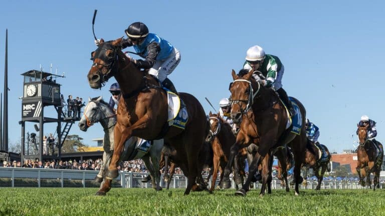 Melbourne Cup 2025 preview