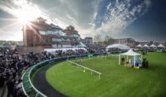 Newbury Winter Carnival 2025 Day 1 Preview – John Francome Novices’ Chase & Long Distance Hurdle on Card featured image