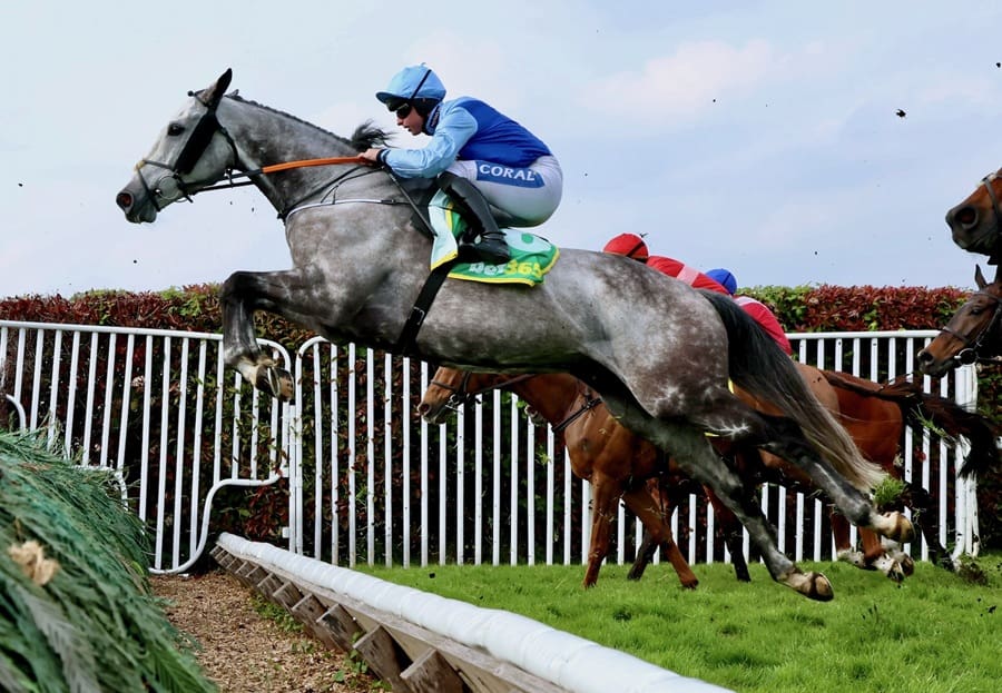Newbury Winter Carnival 2025 day 2 preview includes Resplendent Grey