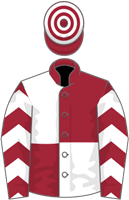 Sticktotheplan silks