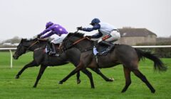 Wincanton Races Preview for 8 November – Small Fields on Badger Beers Card featured image