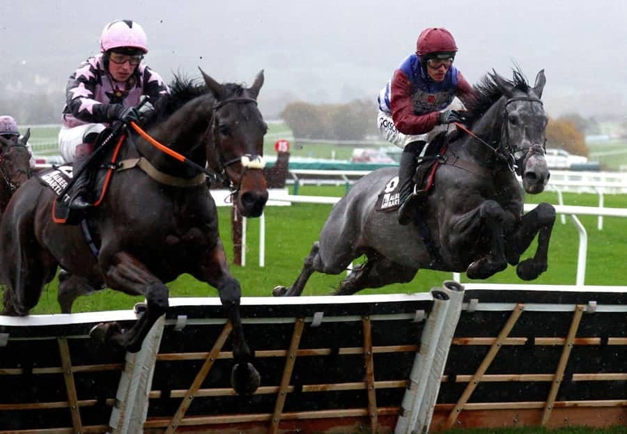 Newbury races preview for 29 December includes No Drama This End