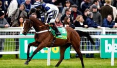 Ascot Christmas Races 2025 Day 1 Preview – Noel Novices’ Chase the Friday Feature featured image