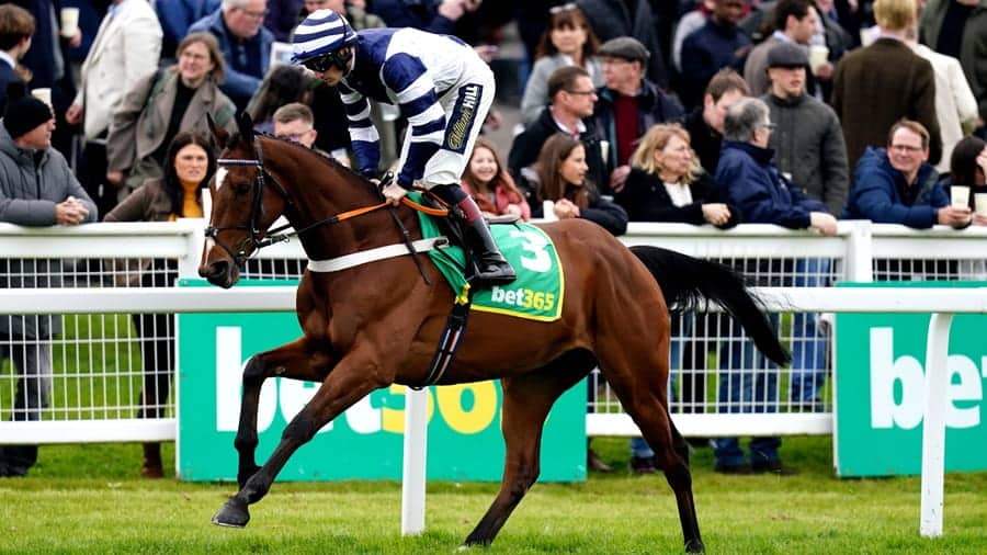 Ascot Christmas races 2025 day 1 preview includes Steel Ally