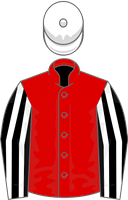 Theonewedreamof silks