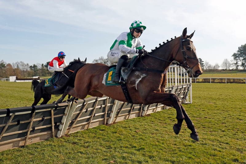 Windsor races New Year's Day 2026 preview includes Wellington Arch