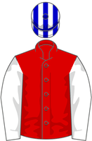 As The Fella Says silks