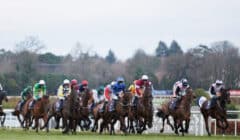 Dublin Racing Festival 2026 Preview – Saturday Selections from Irish Gold Cup Card at Leopardstown featured image