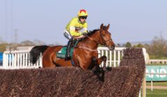 Kempton Races Preview for 10 January – Silviniaco Conti Chase & Lanzarote Hurdle Headline Card featured image