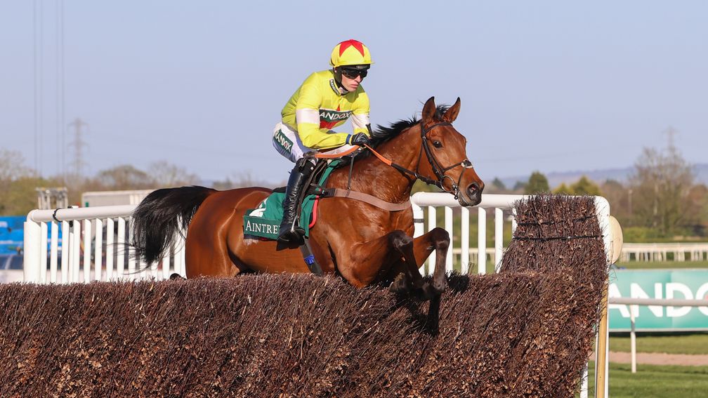 Kempton races preview for 10 January includes Kalif Du Berlais