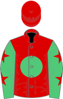 Masterson Holdings Limited silks