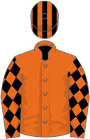 Moon Rocket silks
