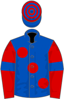 Mr Vango silks