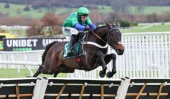 Haydock Park Races Preview for 17 January – Peter Marsh Chase & Supreme Trial Sit Top of the Bill featured image