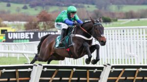 Haydock Park races preview for 17 January features Old Park Star