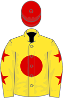 Reality Partnerships silks