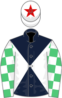 Walters Plant Hire Potter silks