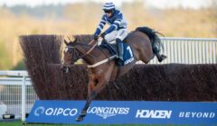 Warwick Races Preview for 7 February – Kingmaker Clash Between Mambonumberfive & Steel Ally featured image